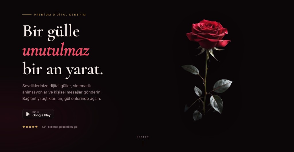 Rosealy ana sayfa — koyu arka planda kırmızı dijital gül